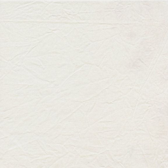 Solid light gray color swatch