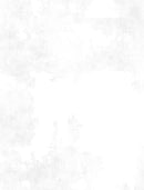 Dry Brush White 1077 100