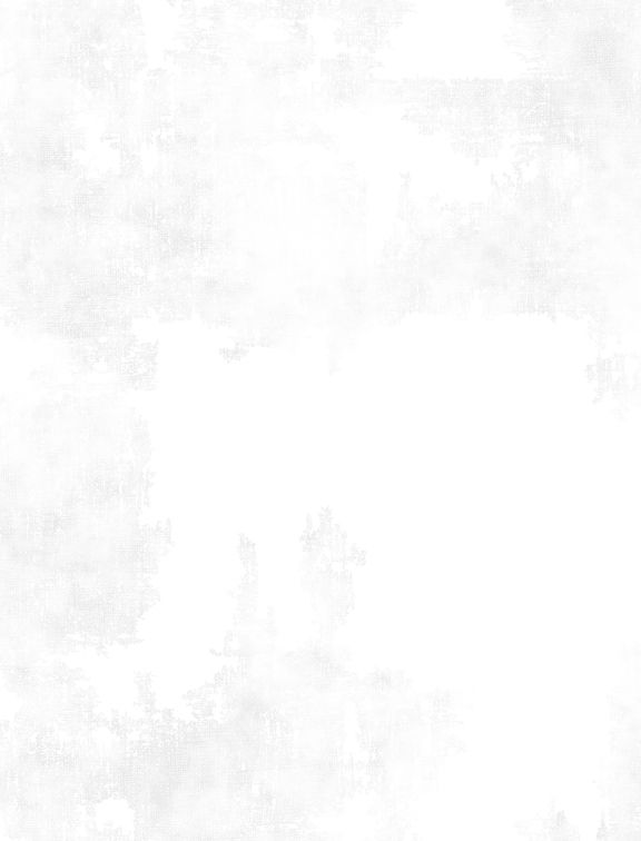 Dry Brush White 1077 100