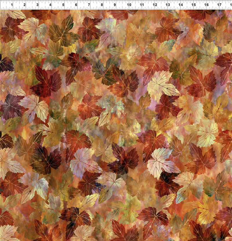 In The Beginning - Falling Leaves 5FLS-1