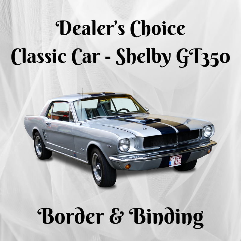 2025 Brown Bag Mystery - Shelby GT350 Border & Binding