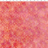 Allure  Orange Shadow  Flowers 7ALR-1