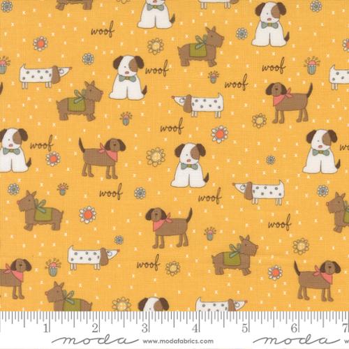 Lucky Puppy Parade Sun 55700 14