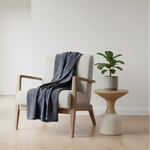 Modern interior with a chair draped with a blue blanket, a plant on a small table, and large windows.