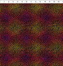 In The Beginning - Vivid Mums Multi