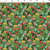 In The Beginning - Multi Cactus Field 15SWM