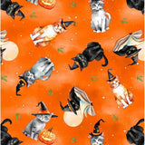 Spooky Tails - Cats On Orange 1665 33934 889