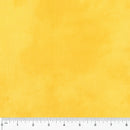 Palette Solids -  Duckling 37098-14