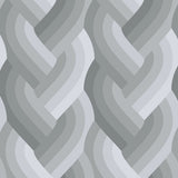 Echo Braid Grey 42380 13