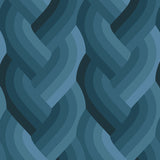 Echo Braid Navy 42380 18
