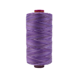 Spool of Fruitti Blueberry FT4-18 12wt variegated Egyptian cotton thread featuring rich blueberry blue tones with subtle darker and lighter variegation.