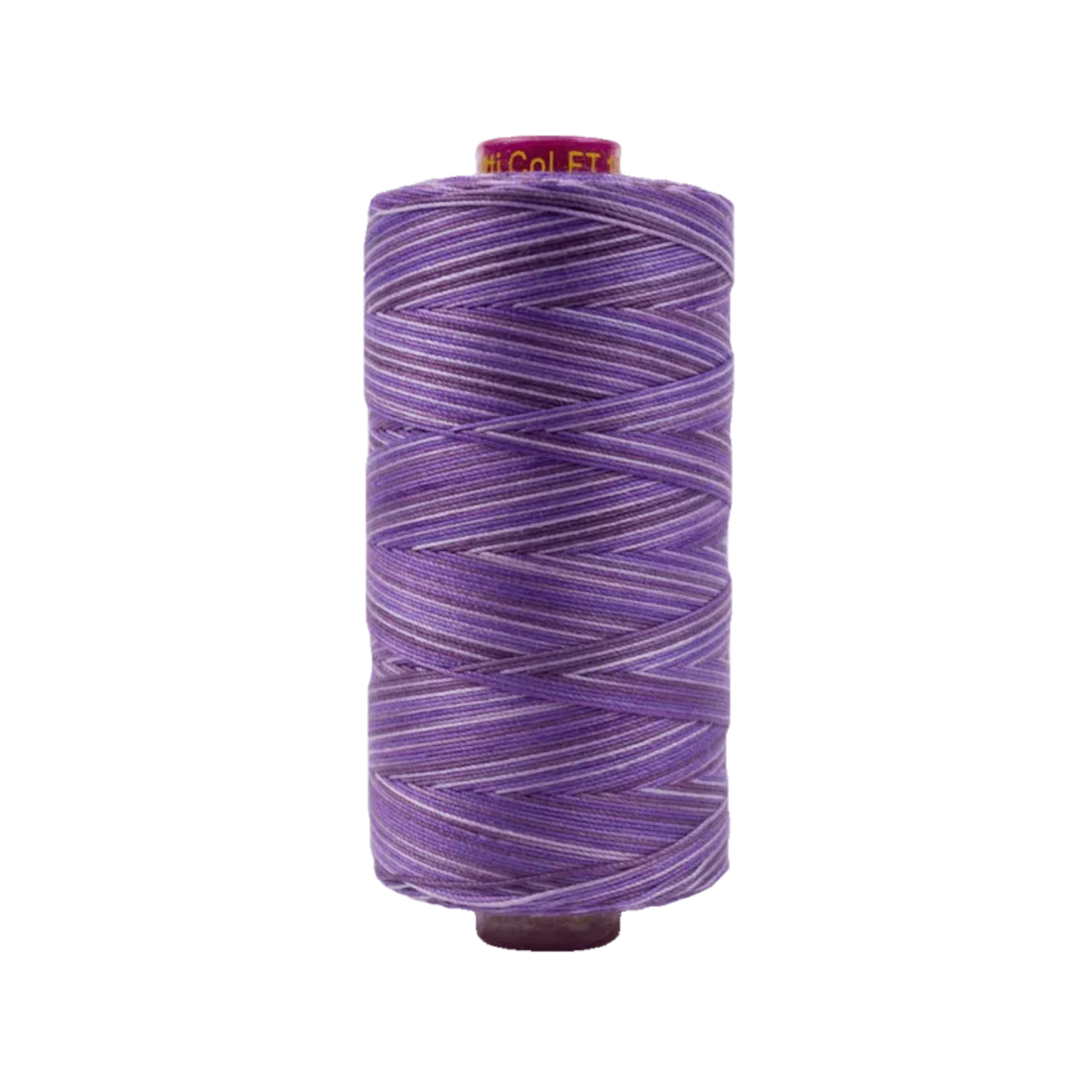 Spool of Fruitti Blueberry FT4-18 12wt variegated Egyptian cotton thread featuring rich blueberry blue tones with subtle darker and lighter variegation.
