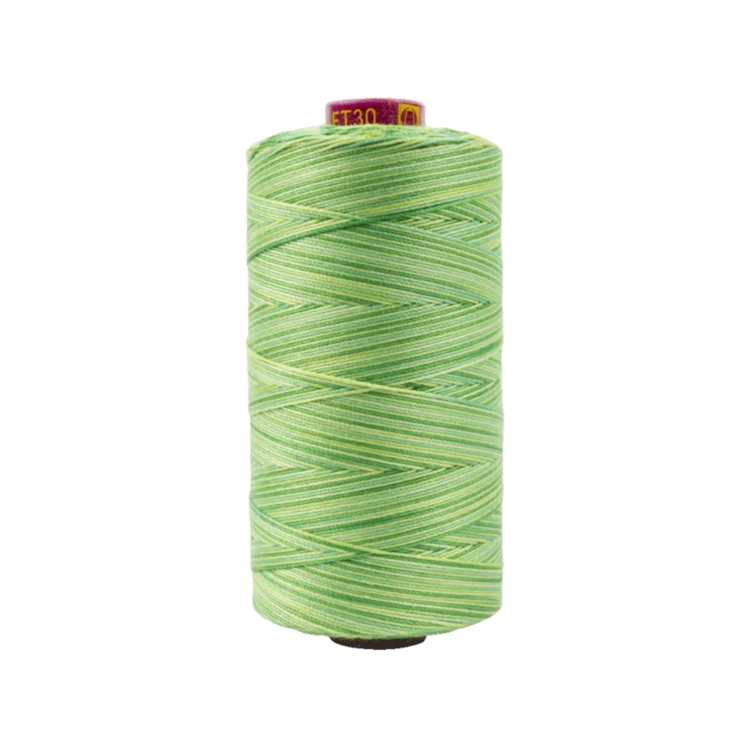 Spool of Fruitti Leaves FT4-30 12wt variegated Egyptian cotton thread featuring fresh leafy green tones with soft natural variation.