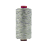 WonderFil Fruitti Stone FT4-39 variegated 12wt Egyptian cotton thread on a 400m spool for quilting, embroidery, and decorative stitching.