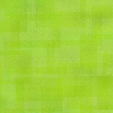 In The Beginning - Interwoven Lime 1WVN-12