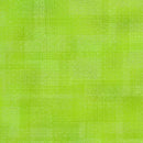 In The Beginning - Interwoven Lime 1WVN-12