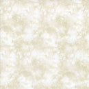 Solid-ish Watercolor Texture KIM C6100-Oat