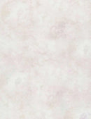 Solid-ish Watercolor Texture KIM C6100-Sandstone