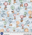 Let's Go On a Adventure - Small Balloons 5934-BG