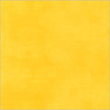 Palette Solids -  Lemon Zest 37098-117