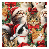 Merry Cats Portraits 16773-99