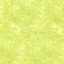 Solid-ish Watercolor Texture KIM C6100-Pear
