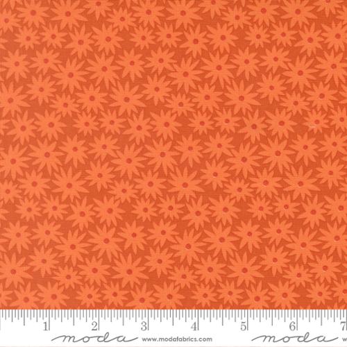 Scenery Sedum Yam 51270 13