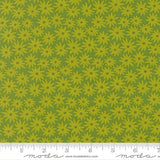 Scenery Sedum Limeade 51270 14