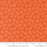 Scenery Sedum Yam 51270 13