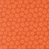 Scenery Sedum Yam 51270 13