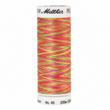 Mettler Poly Sheen Multi Sm Sporty Neons 4820-9914