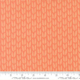Scenery Sprout Coral 51272 19