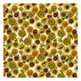 Sunflower Song Digital Sunflowers Y4950-2 Light Cream