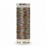 Mettler Poly Sheen Multi Sm Tween Fashion 4820-9972