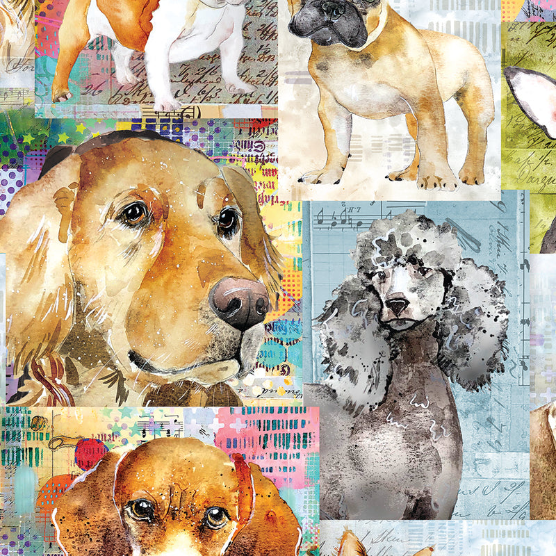 Best Friends Multi Dog Collage  4281 55